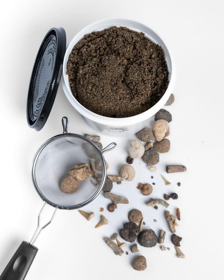 Fossil Dig Kit for Beginners Dig Your Own Fossil Miami Mining Co Gem Mining in South Florida