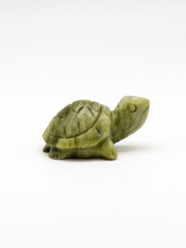 Turtle ya Jade