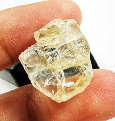A Bit of a Rough Diamond là gì?