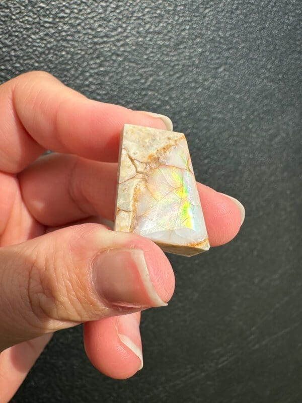 spencer opal