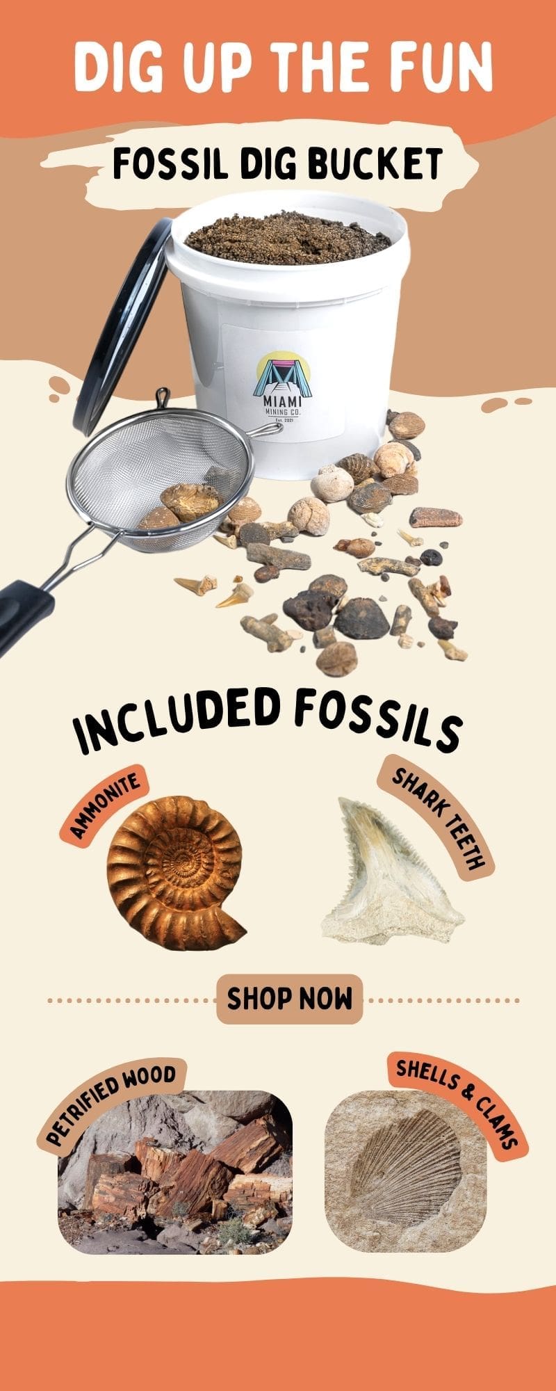 Fossil Dig Banner