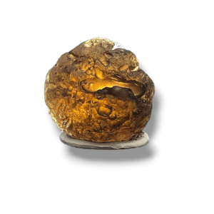 Spécimen de tektite colombienne