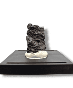 Espécime de Meteorito Condrito