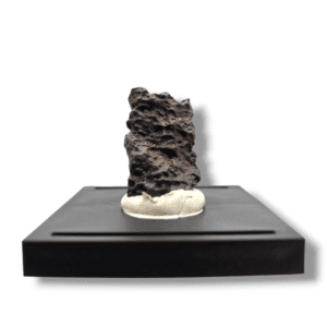 Spécimen de météorite chondrite