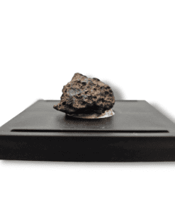 Образец хондритового метеорита